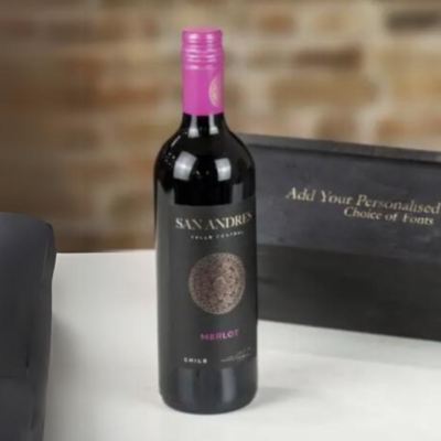 San Andres Merlot (Chile)